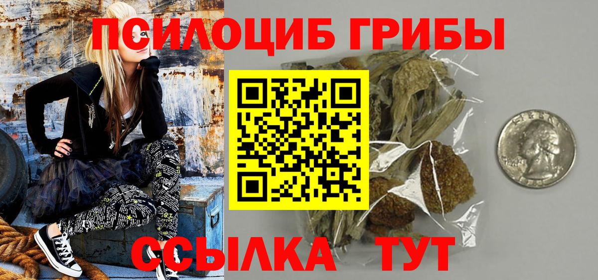 Псилоцибиновые грибы прущие грибы Сердобск